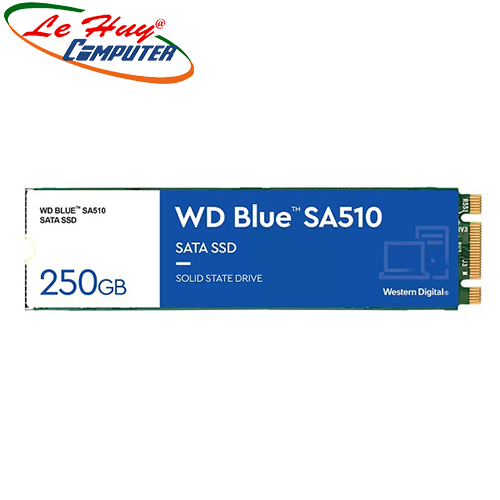 Ổ cứng SSD Western Digital Blue SA510 250GB M.2 2280 WDS250G3B0B