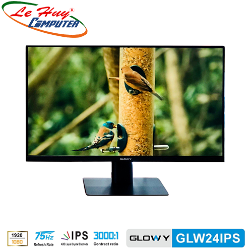 Màn hình máy tính GLOWY GLW24IPS 24Inch FullHD 75Hz IPS Full Viền - Tặng USB Wifi LBLINK 115A